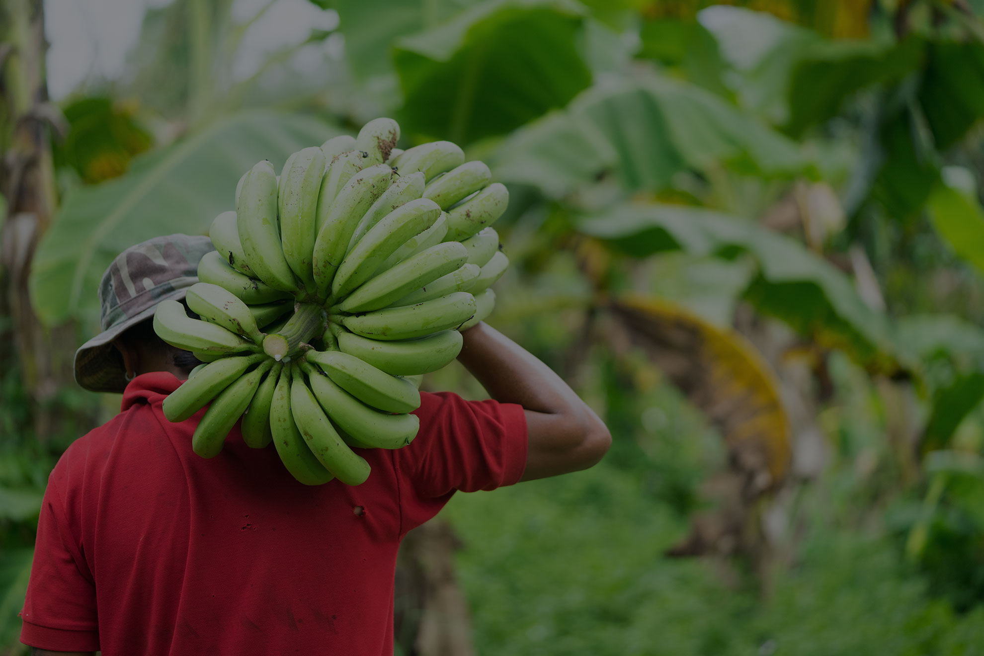 Farmers/ Producers