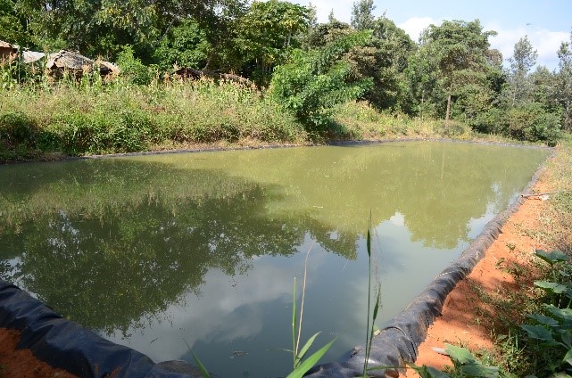 Water harvesting interventions helping farmers reap big