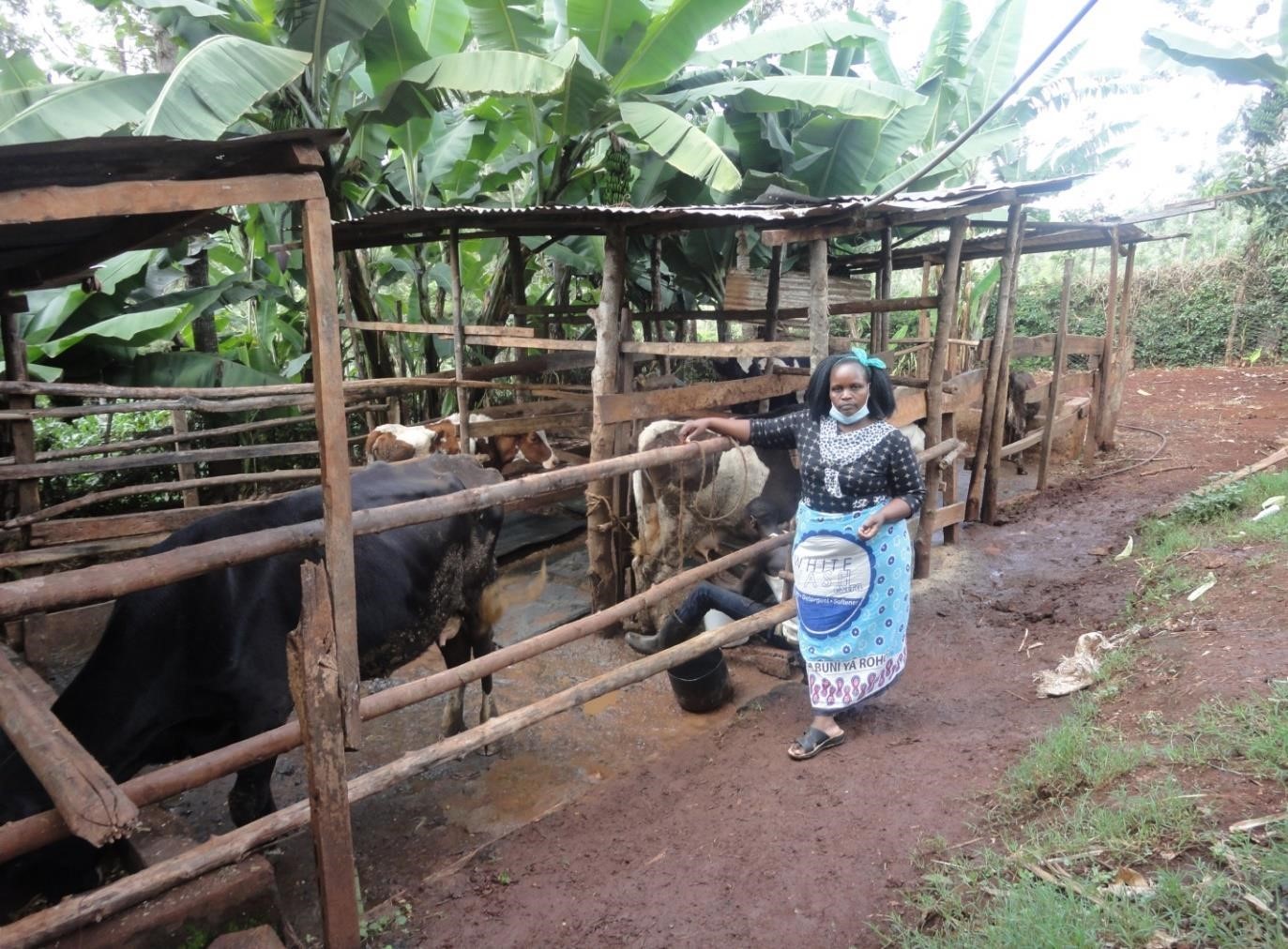 Kawanjara Dairy Cooperative Case Study