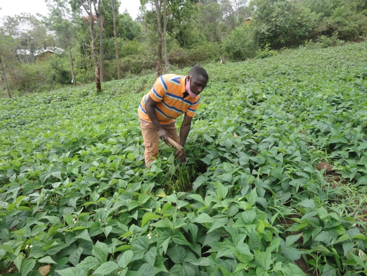 Taita Taveta Isuvirio CBO Case Study