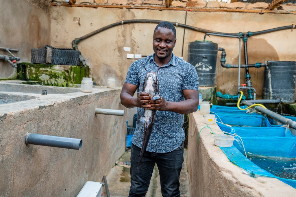 AgriFI_ Kamuthanga Fish Farm