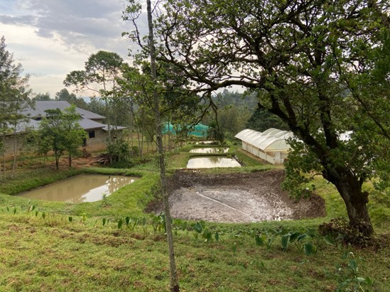 Transforming Aquaculture in Kakamega: The Story of Labedcash Marine Enterprises