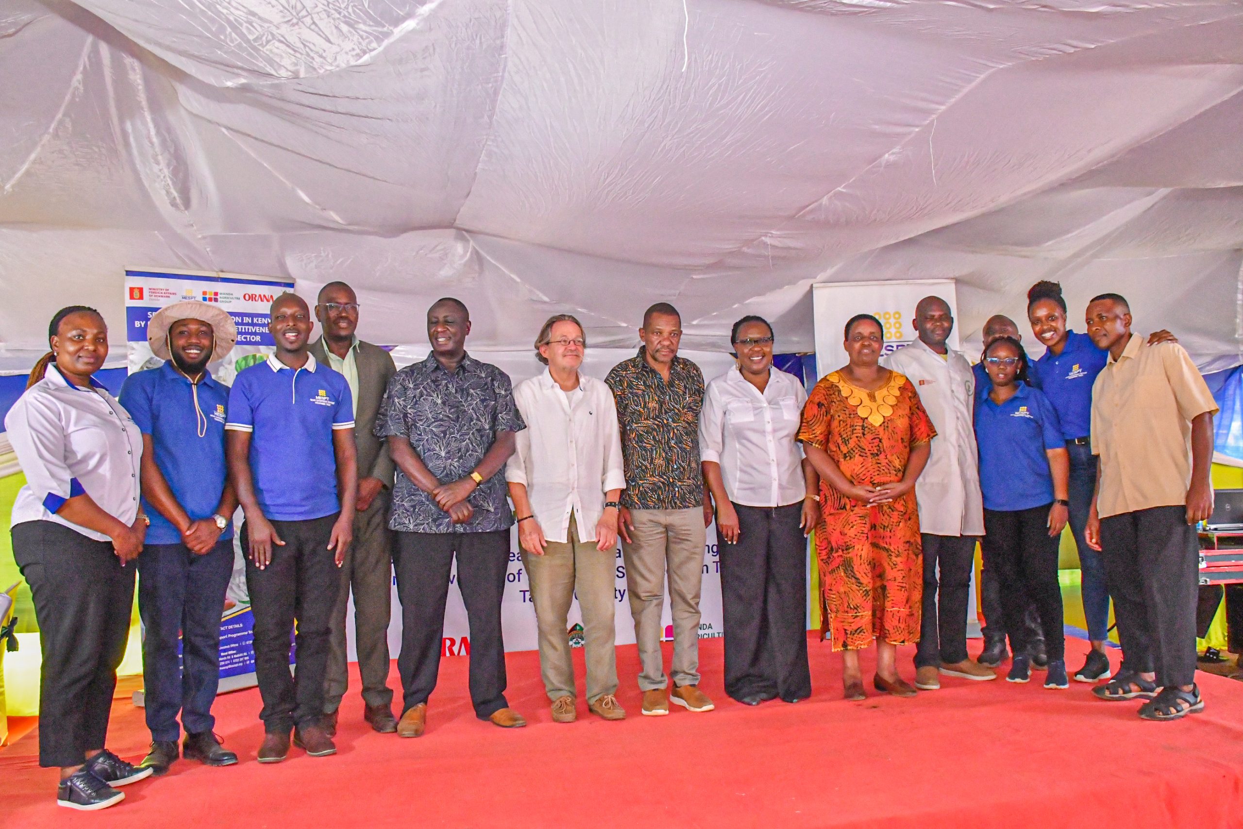 The DMDP Programme Closeout Workshop: Reflecting on Five Years  of Transformative Impact