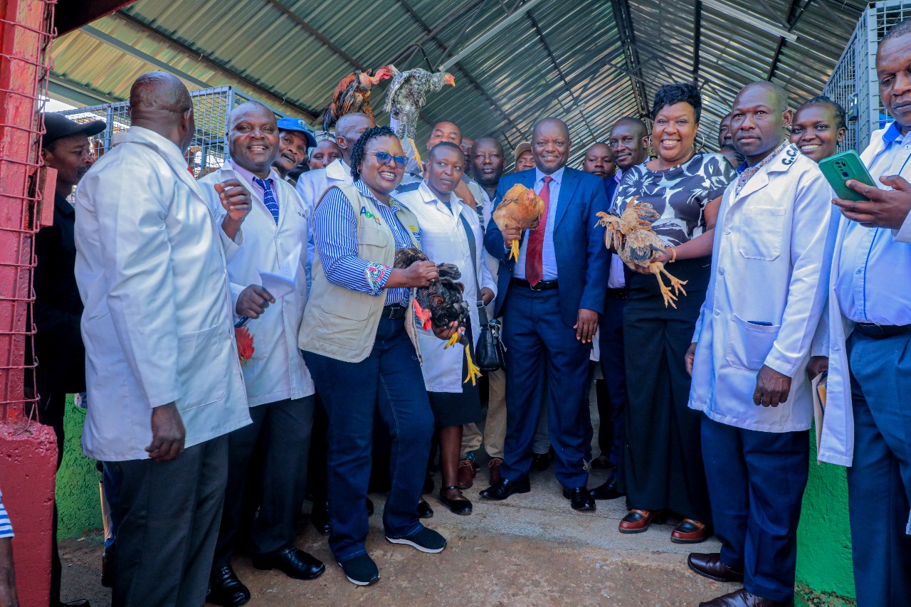 Learning from Getembe Poultry Marketing Limited