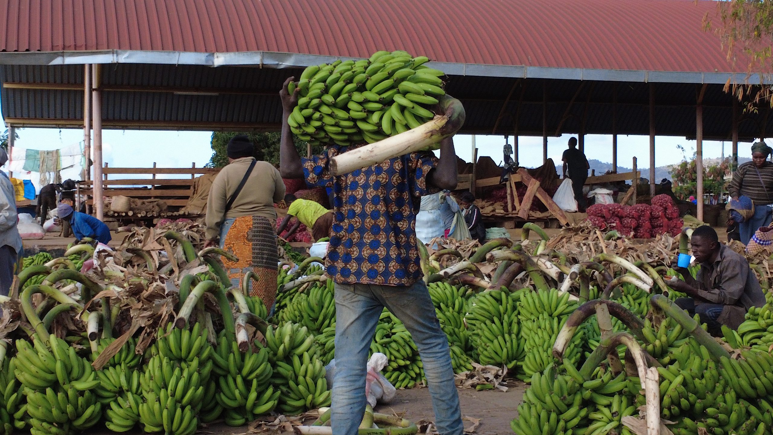 The Successes and Gaps of Financial Linkage and Inclusion