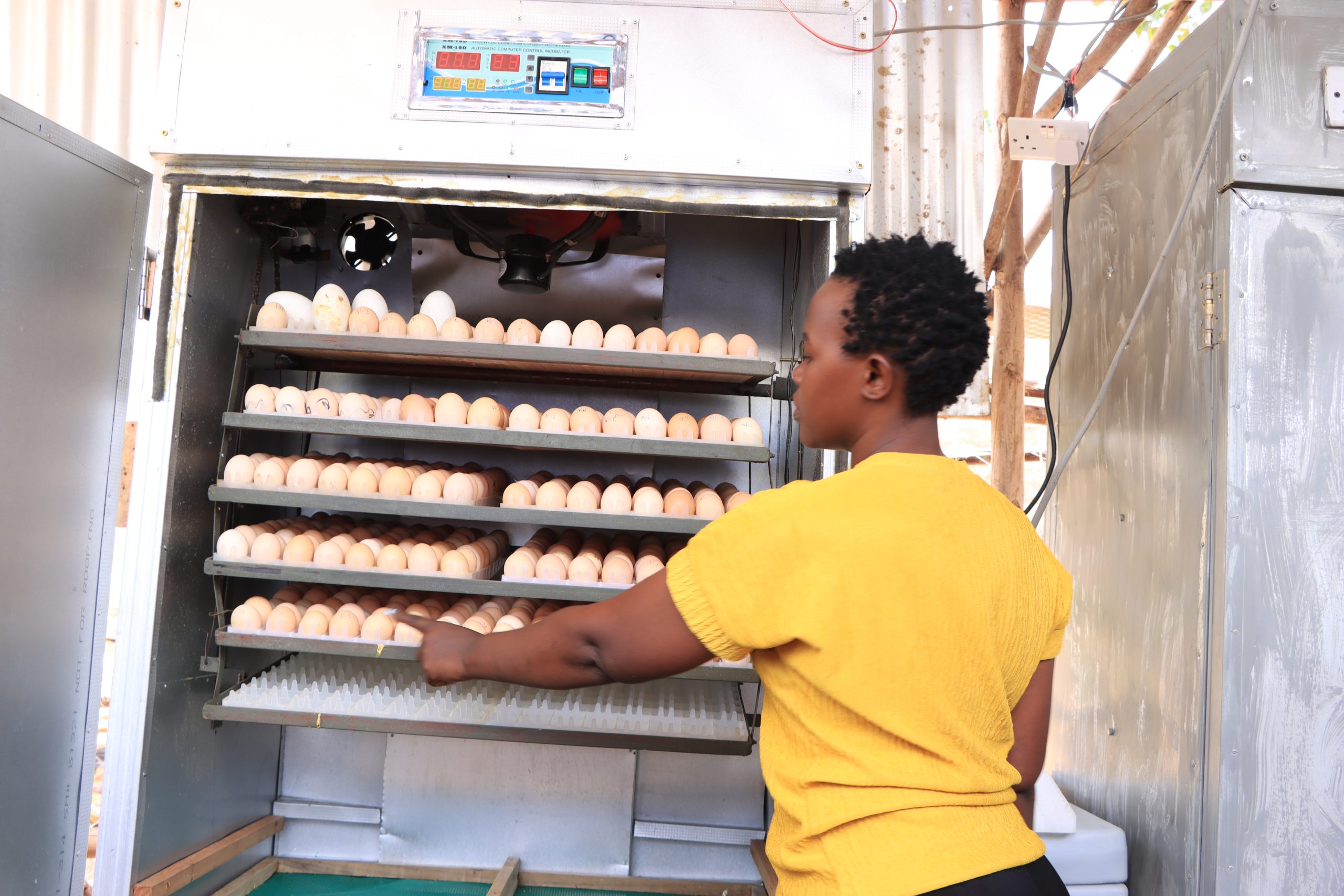 Breaking Barriers, Building Hatcheries: A Mother, Engineer and Farmer Redefining Agriculture.