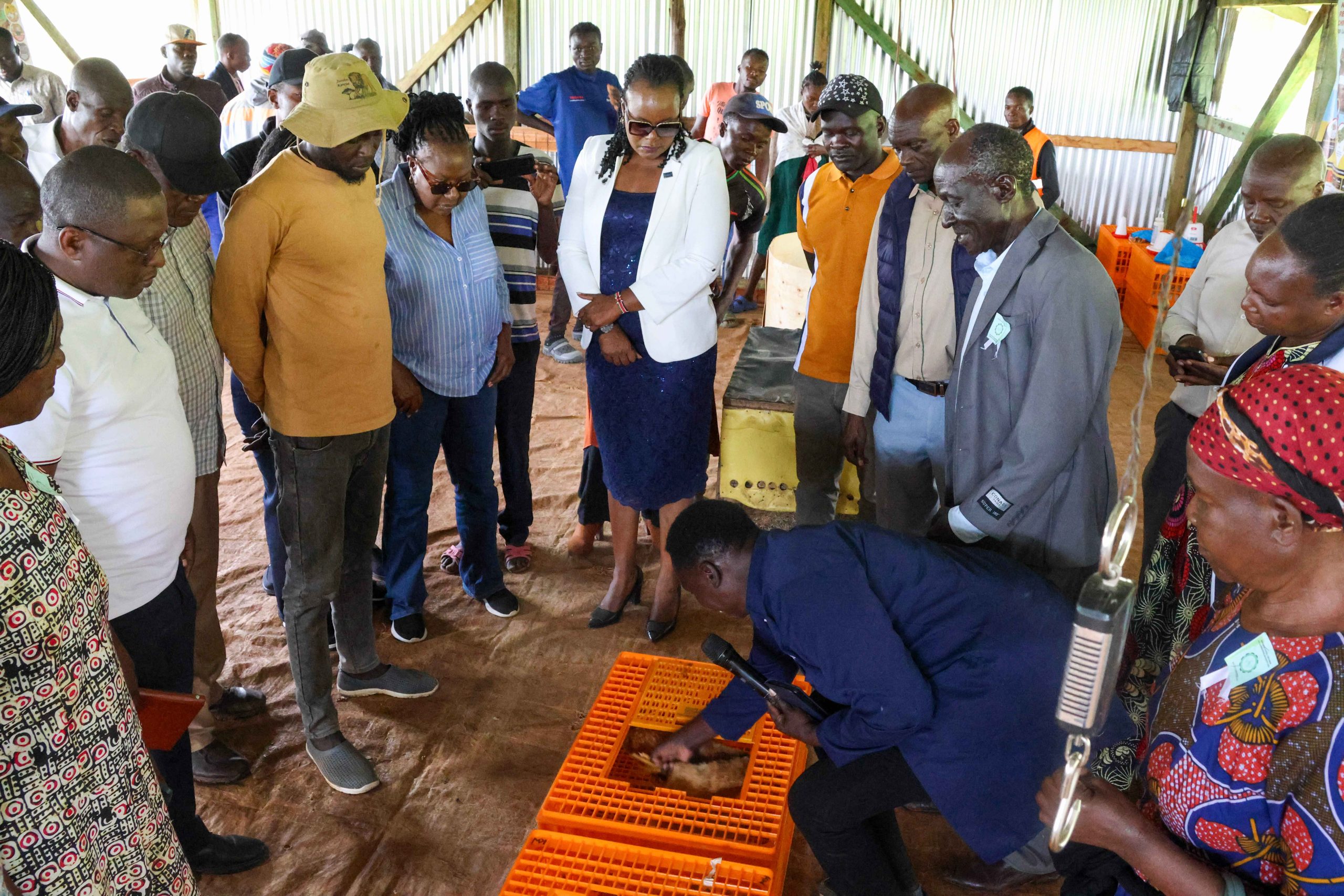 Officials at the Kwanza Poultry Aggregation Centre demonstrate the use of transport cages during the handover of the centre.