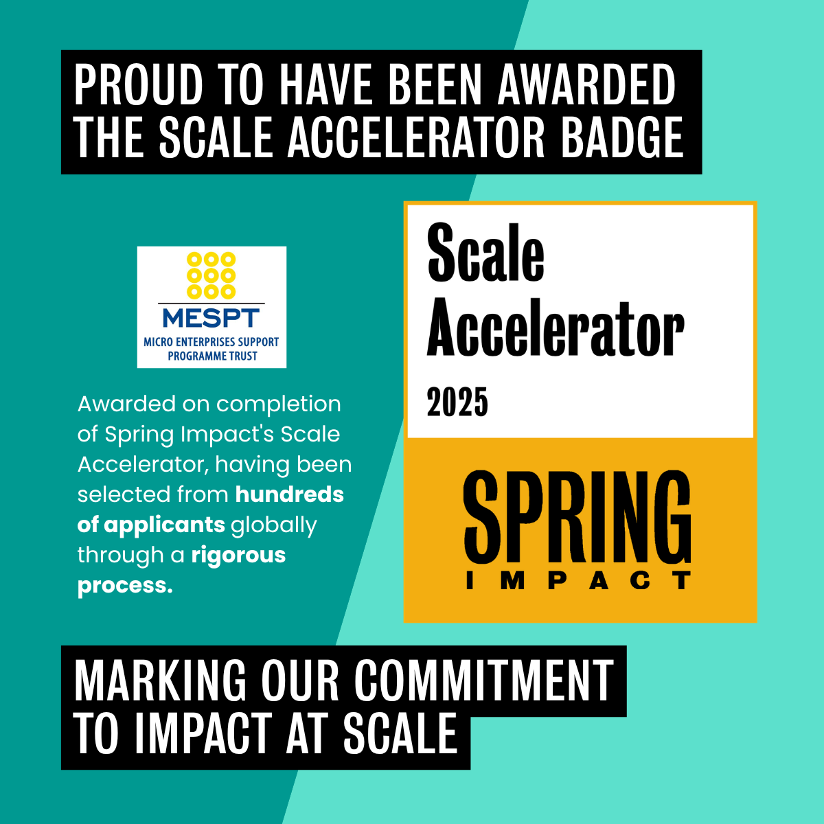 MESPT Recognised with the Spring Impact Scale Accelerator Badge