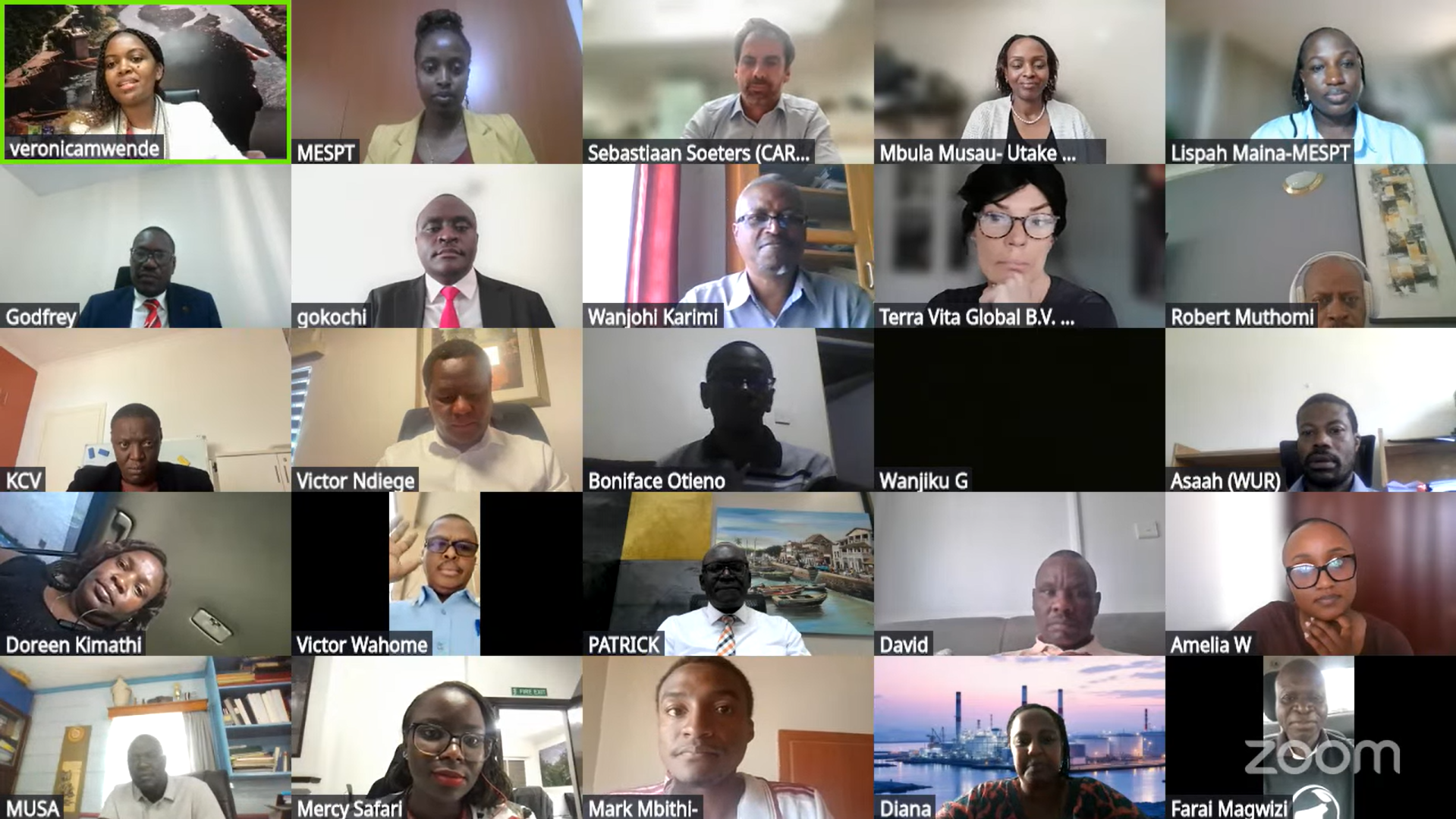 BDCG Pre- Conference Webinar Explores Pathways to Finance and Sustainable Enterprise  Growth